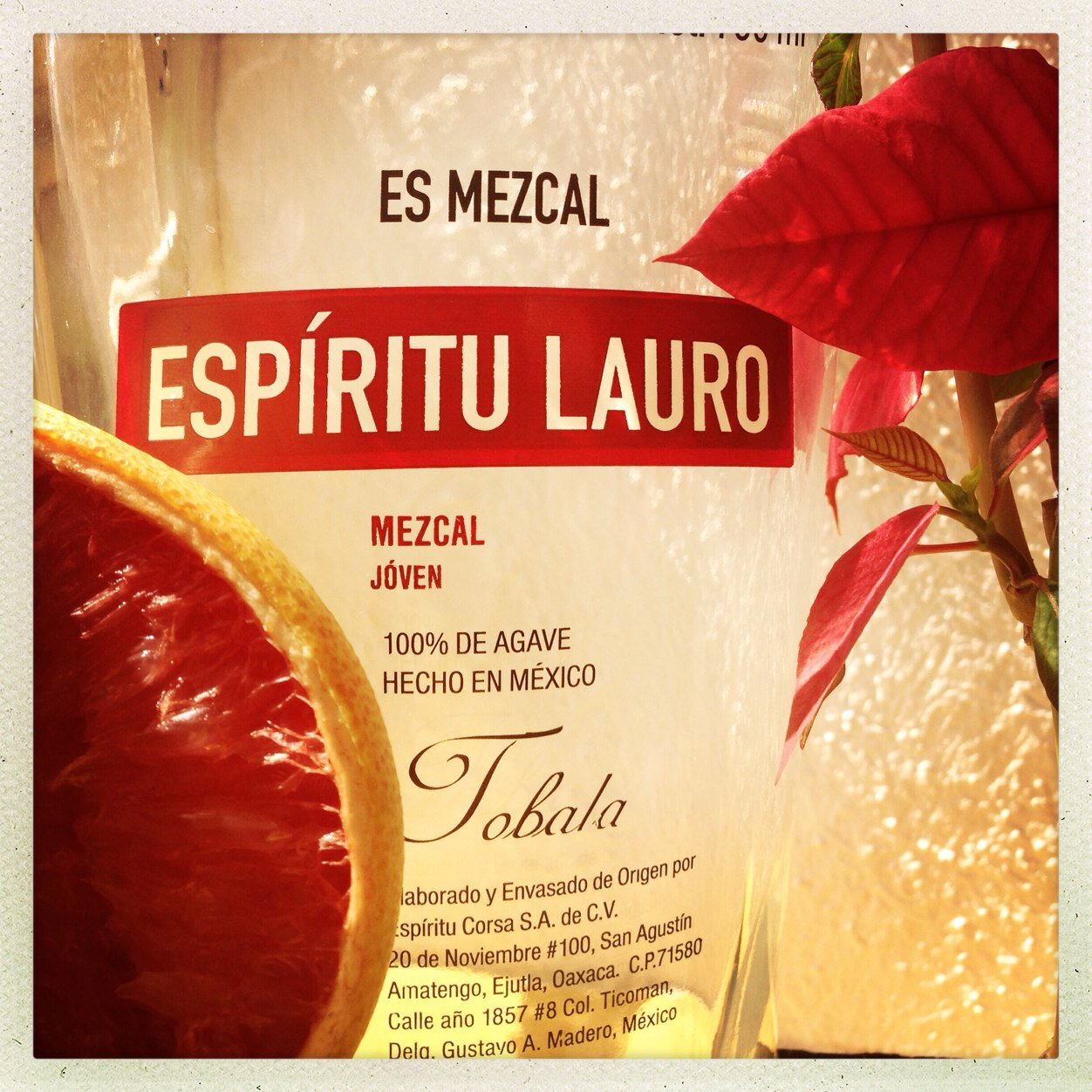 Artist / Brand Ambassador of Espiritu Lauro - Larga Vida Espiritu Lauro Mezcal