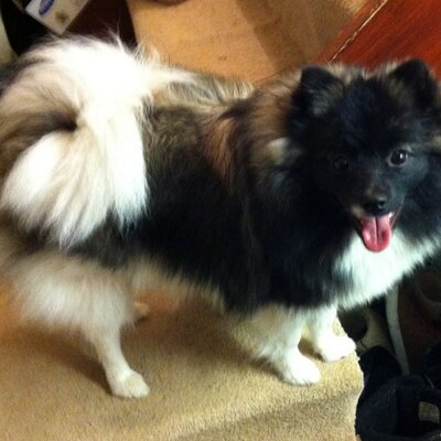 pamfleming02's profile image