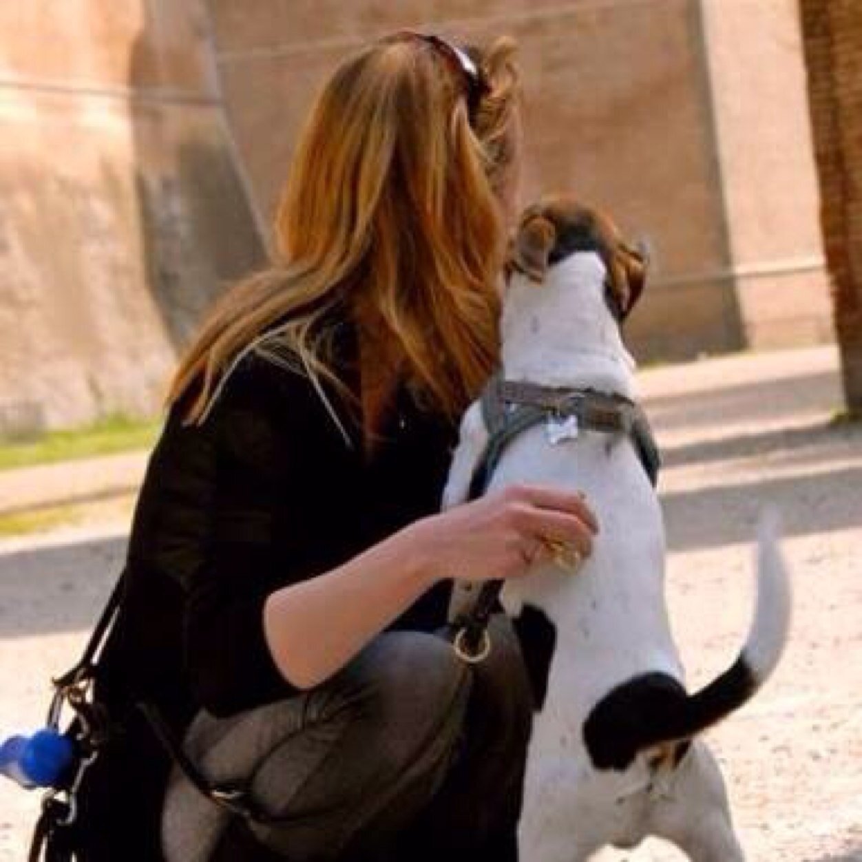 Ecologista, animalista, “sportivista”😁,europeista, femminista, antifascista💖🌈🐶🐬🐳