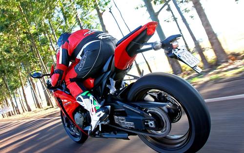 mumucardoso's profile picture. male,singer,young,good worker,etc...