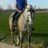 ivancasasola1's profile image