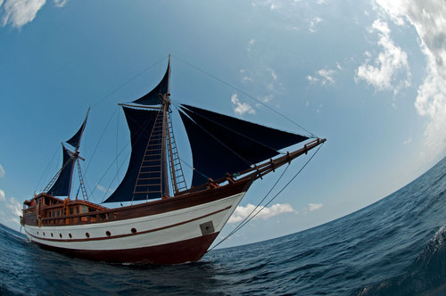 CRUISEAURORA's profile picture. Meraviglioso veliero pinisi che solca i mari inesplorati dell'Indonesia per indimenticabili esperienze subacquee.