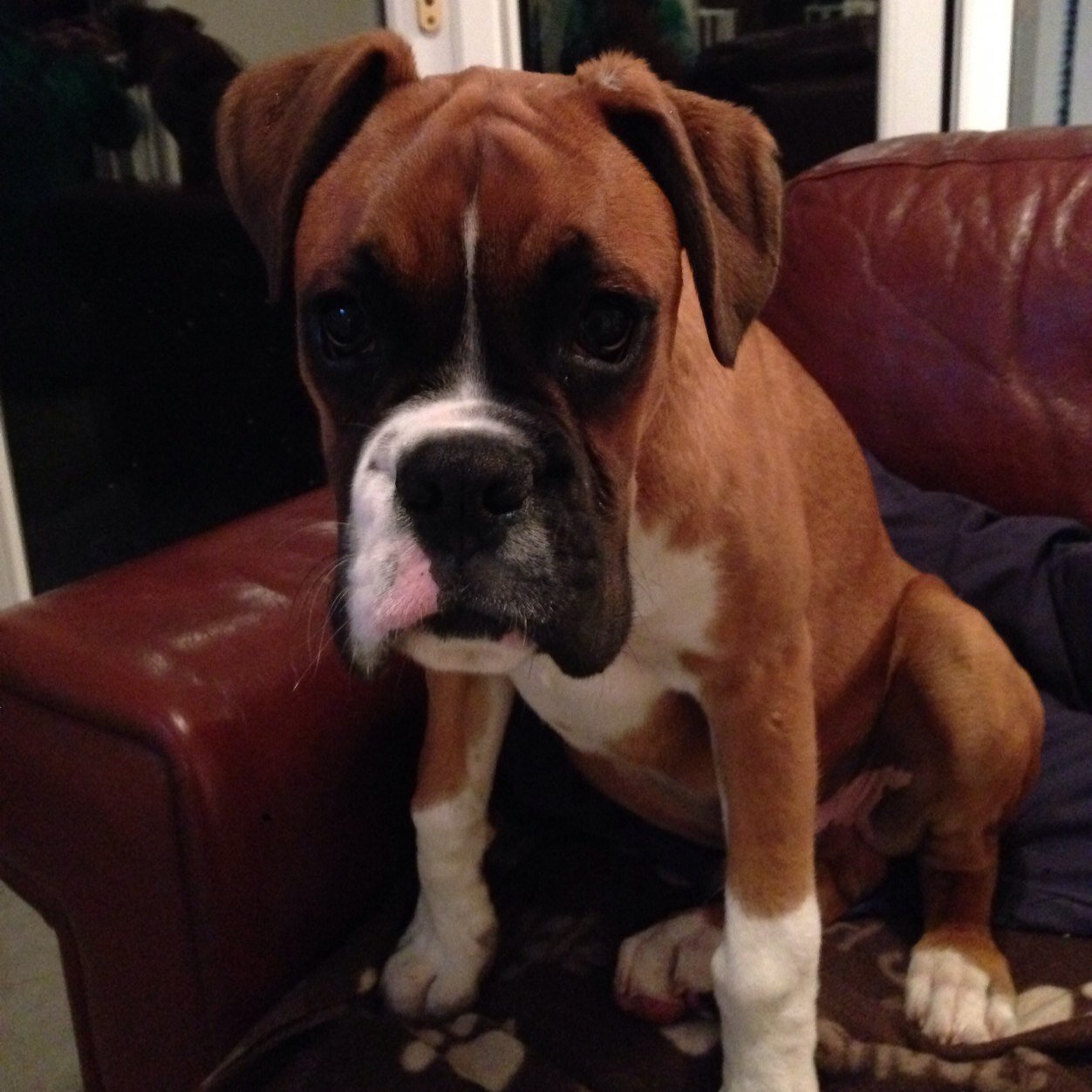 Jord46's profile picture. 