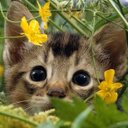 Sasha Jimenez - @guerljfa - Twitter