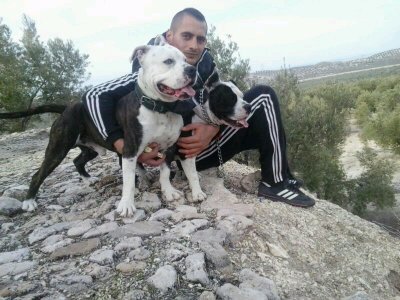 josedjtrx's profile picture. 