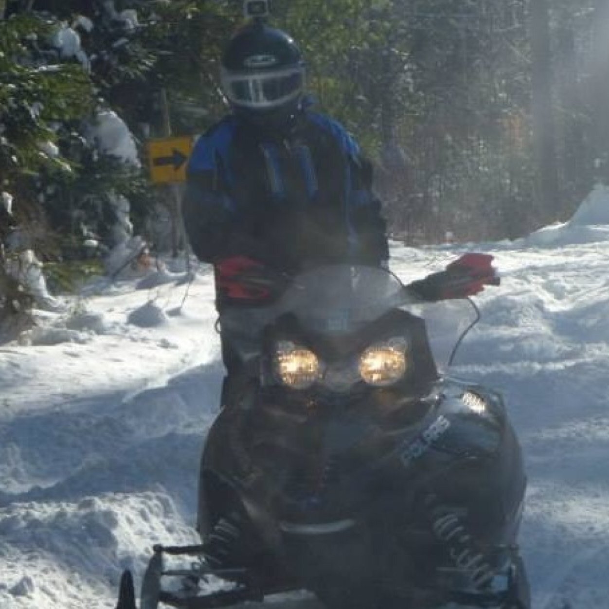 WinkLucas's profile picture. 