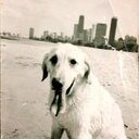 Alex Menard - @alexmenardchi - Twitter