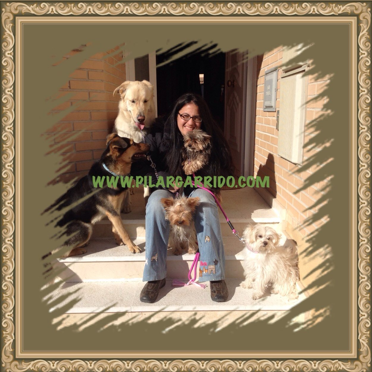 Certified Dog and Cat Groomer/Stylish and Certified Dog-Cat Trainer.