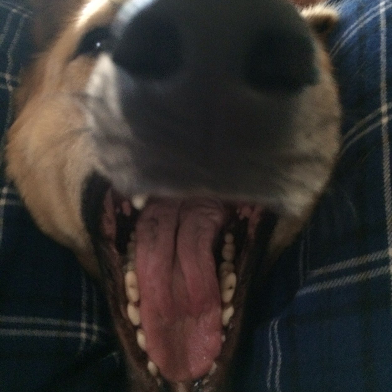 Cwillii1's profile picture. 