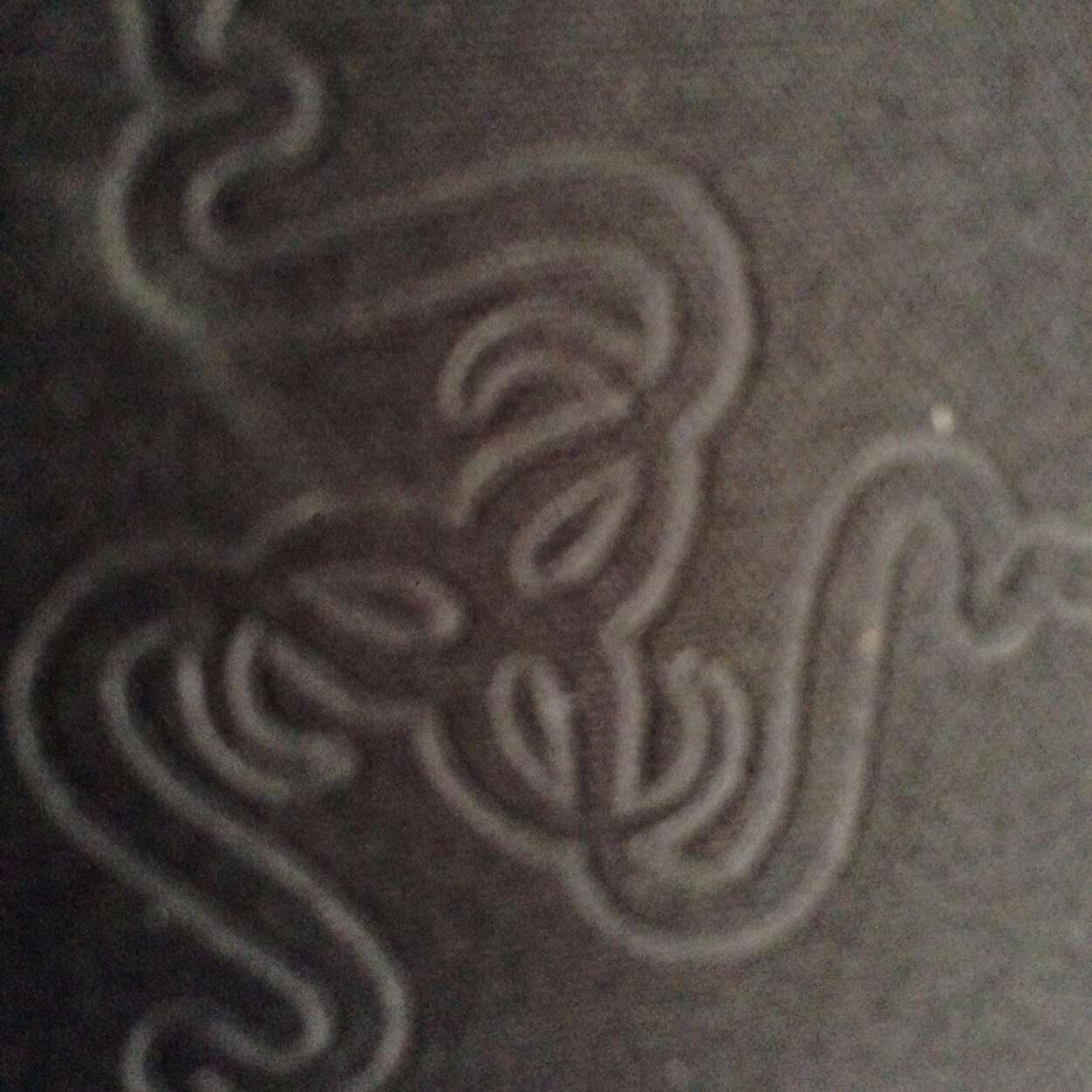 Connor_H3lsius's profile picture. gamer love anime and crossfit pc gamer love dota 2 and new obssesion= ESO  steam gamertag: Qauntum_leap watch my favorite streamer. \/