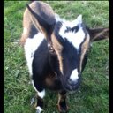 Bonnie Staples - @BonnieMinidoxy - Twitter