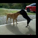 vickie cooley - @5a133a5a66fe4e3 - Twitter