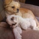 JackNipper - @JackNipper3 - Twitter