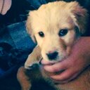 Katy Creech - @creech_katy - Twitter