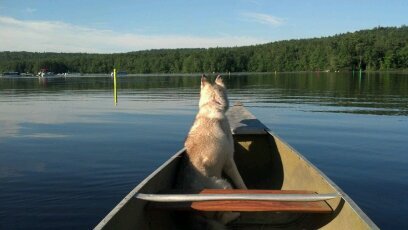 DougMcDuff's profile picture. President of Landscape America, Inc., father to Tayla and Hayden McDuff, married to Kristin McDuff, lives in Wrentham, MA