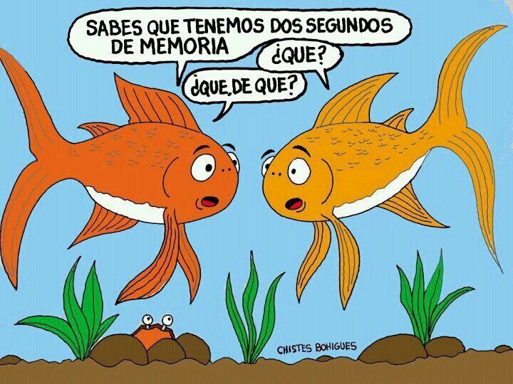 megustatutwiit's profile picture. retwitteo tus mejores twitts...pero si algo nome gusta, lo criticaré... Cuidado!!