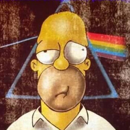Utilizo sarcasmo tan avanzado, que terminaras creyendo que estoy bien pendejo. No me sigas, ando igual de perdido que tu.
#pinkfloydiano