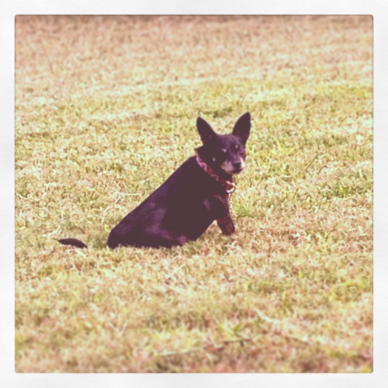 GibbyMaldonado's profile picture. 