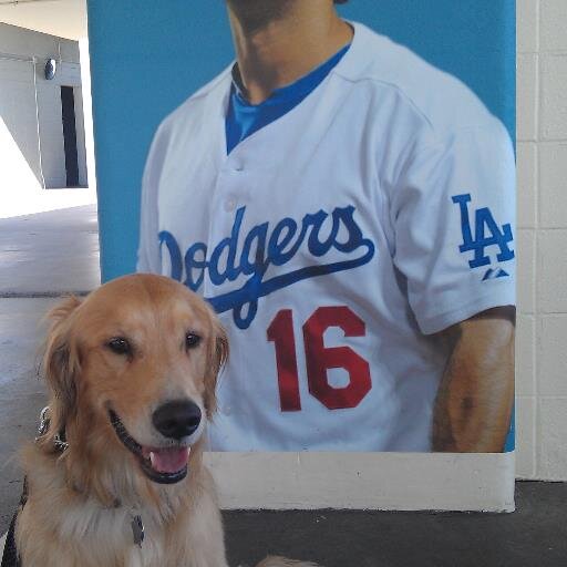 palmsprings4's profile picture. Palm Springs Business Owner