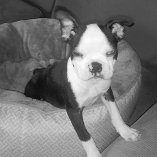 Shytech72's profile picture. 