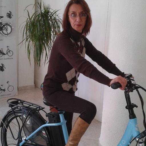 Somos empresa de nueva creación comprometida absolutamente con la movilidad sostenible y la ecología aplicada al transporte en las ciudades.