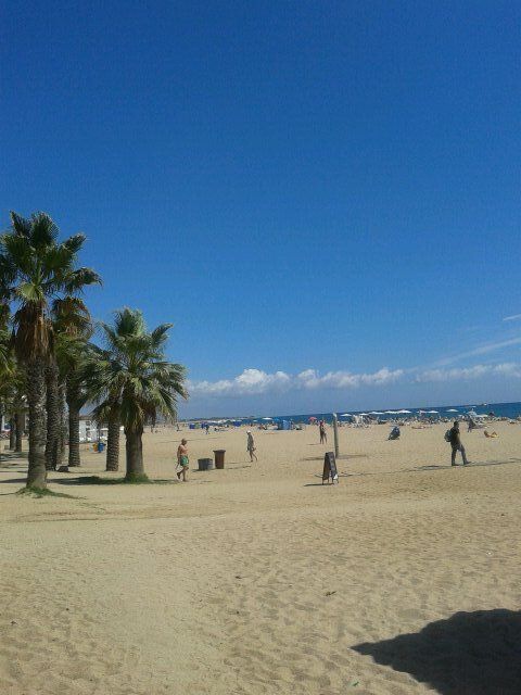 tatianthay's profile picture. 