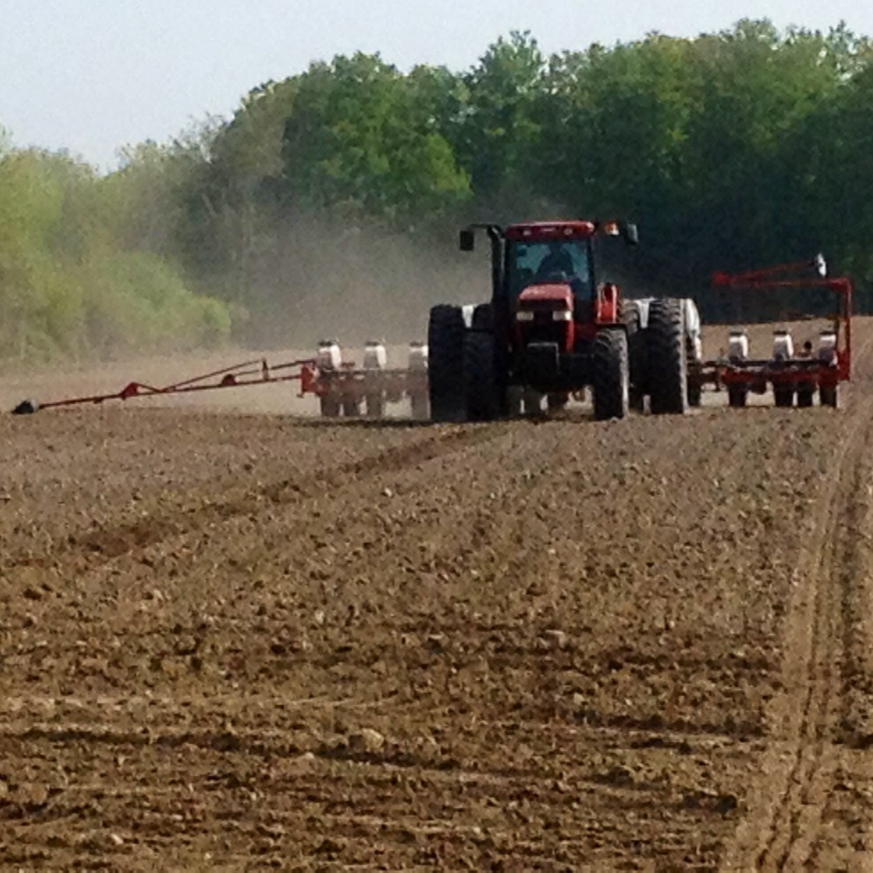 Doug Andriessen Farms Ltd
