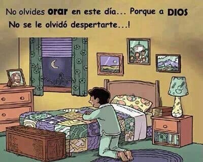 felixnoza's profile picture. 