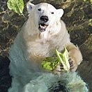 ChrisNewcomb123's profile picture. 