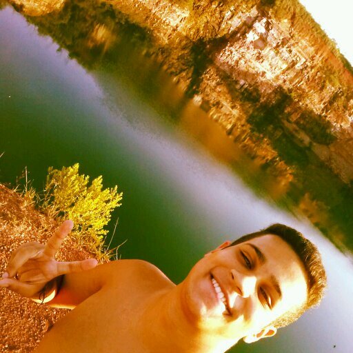 living the dream