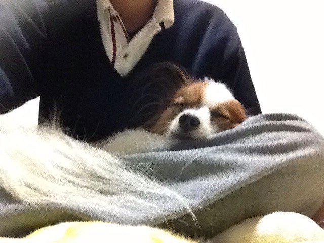 nenko1130's profile picture. huhs ph14  薬剤師、始めました。