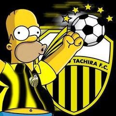 siempre aliento al mejor y mas popular equipo de Venezuela, mi DEPORTIVO TACHIRA...!!