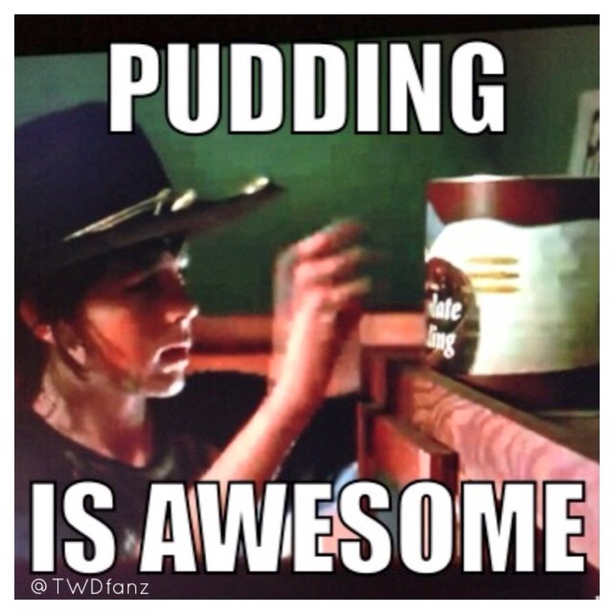Pudding is awesome and DON'T YOU FORGET IT •RIP Hershel• #stuffandthangs
•Met Hershel ,Glenn, Maggie, Beth, Lori, Daryl, Merle, Shane, Carl, and Tyreese•