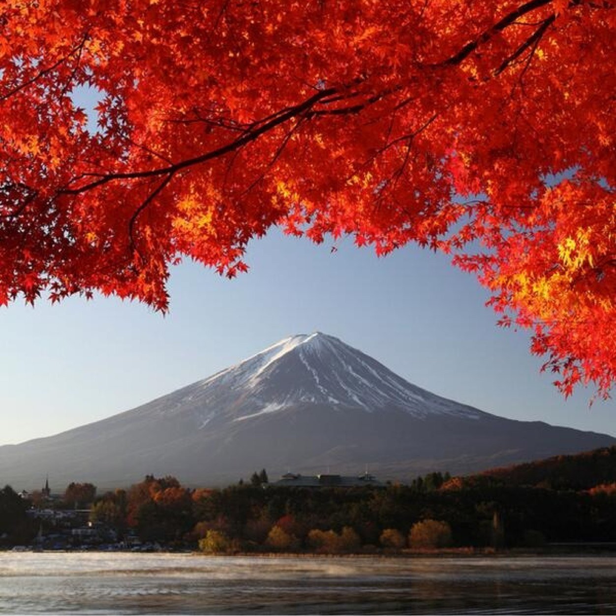 adiazmansilla's profile picture. 