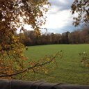 brad altman - @AltmanBrad - Twitter