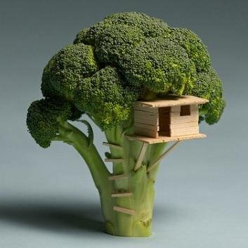 uzunallim's profile picture. 