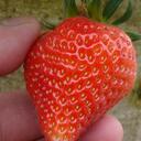 Edy Chandra - @lovetruesource - Twitter