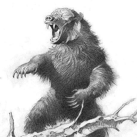 mykeysm's profile picture. USAF Veteran, husband, dad, grandpa, admirer of those who create