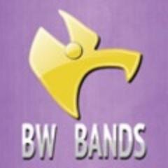 BWHSBand Profile Picture
