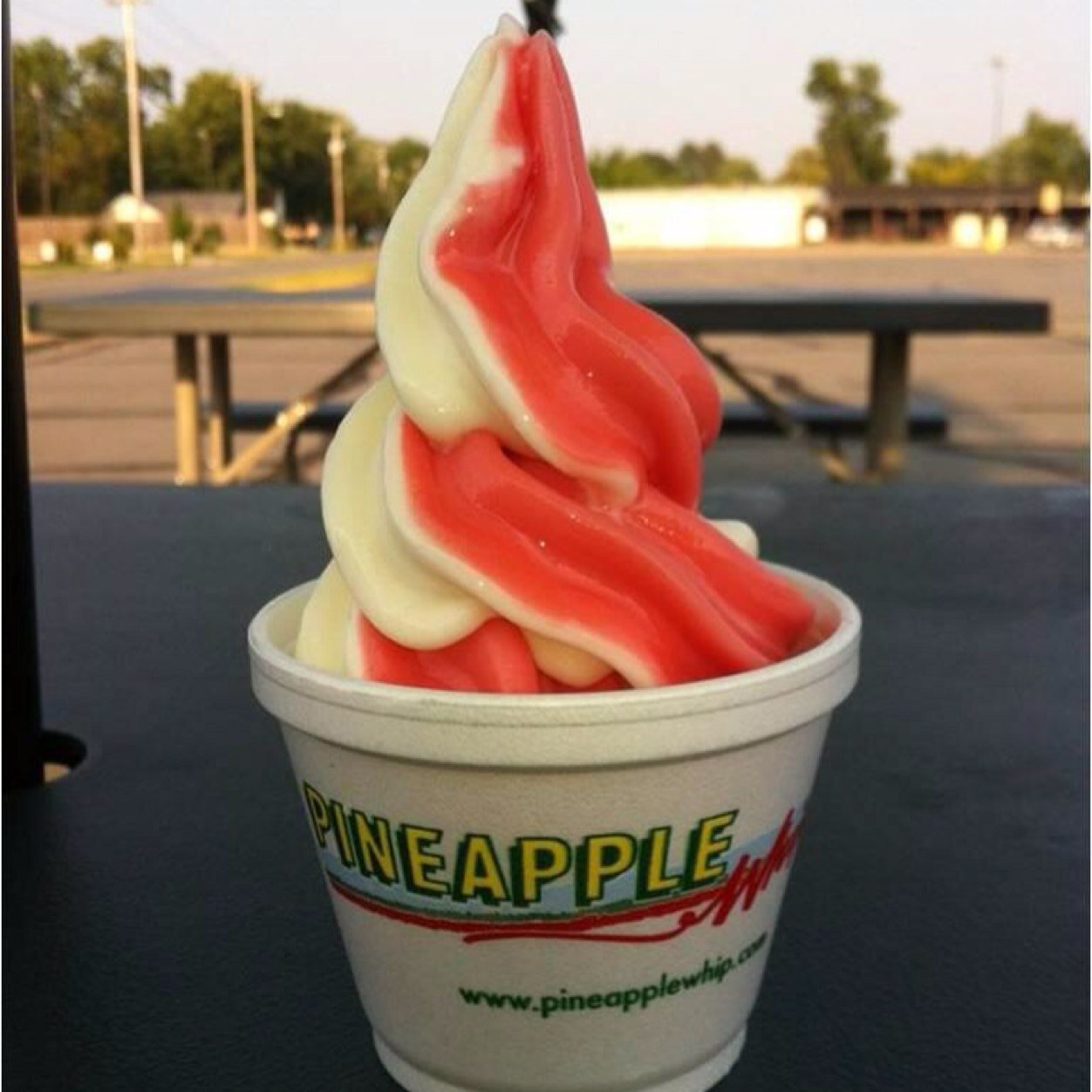 arkpwhips's profile picture. 