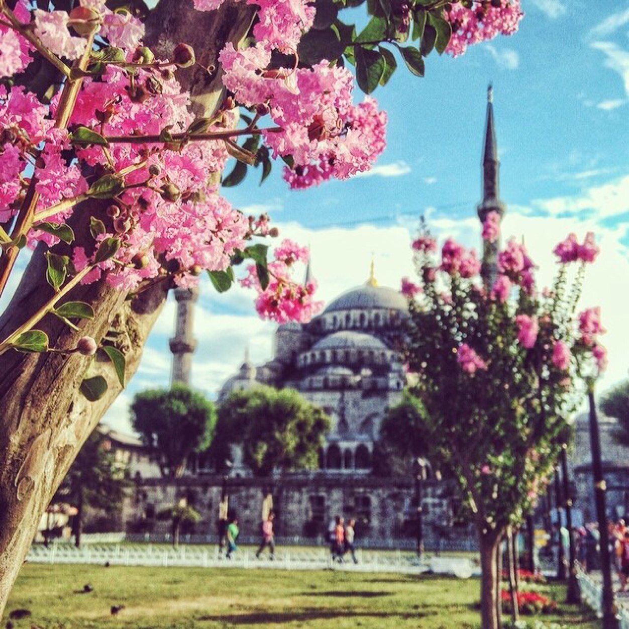 يبَقى الحَنِينَ بِدآخِلي سِر مَكتَوُمَ وِتَبِقى الأماني عآلقِه فُوقَ الأحَلامَ ..♡̸