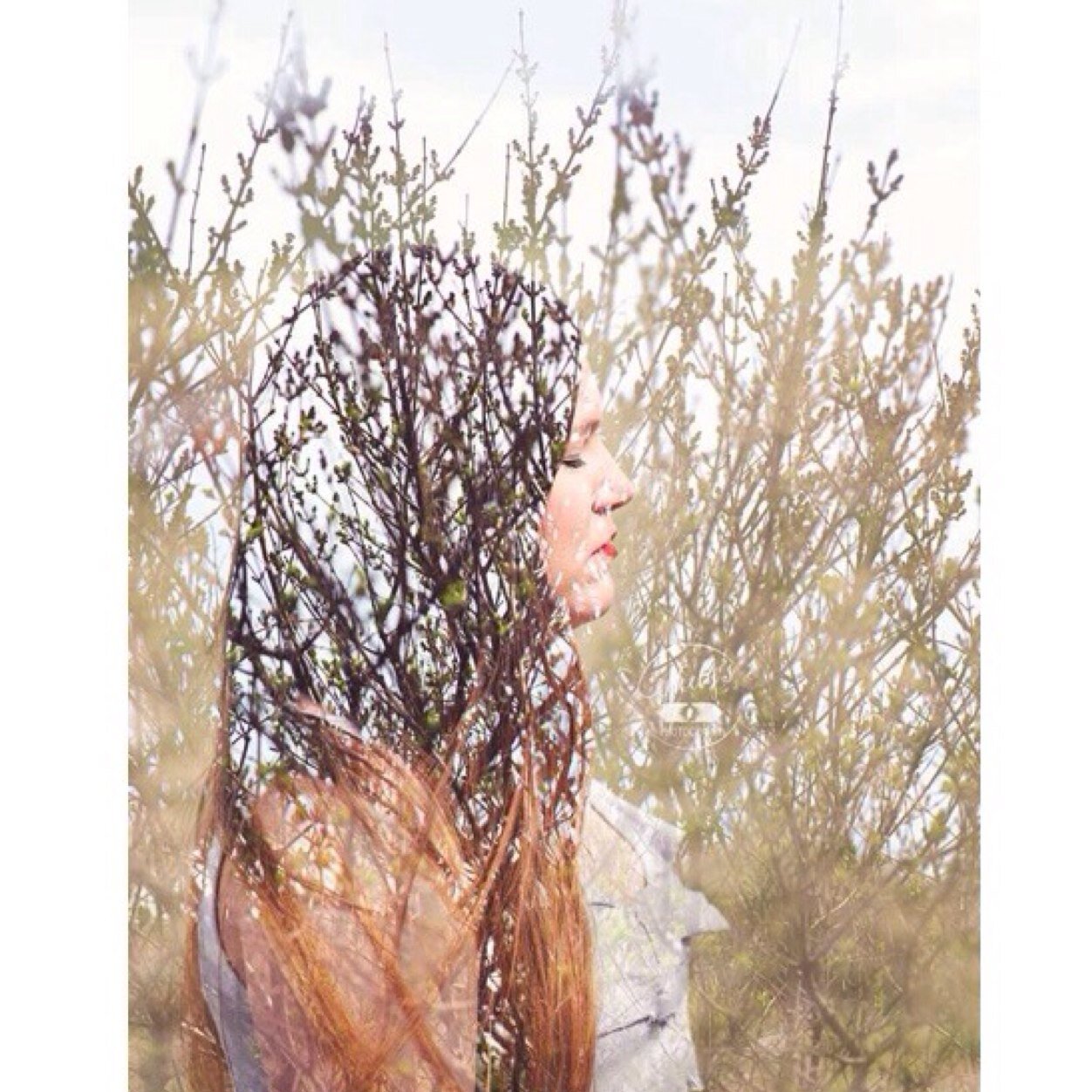 Wife. Mother. Photographer. Weird. // Matthew 6:34