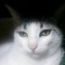 gabriela fleming - @gabrielaflemi14 - Twitter