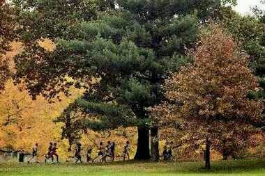 Lowood Algood, 39 years old, 5K and half marathon runner, New Jersey + Distance Running = The Best
