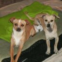 Buckley-Troy Huante - @2TroyBuckley2 - Twitter