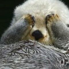 rupy161616's profile picture. 