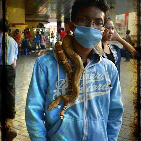 Putra_Pyhton's profile picture. Panggil saja Puthon....