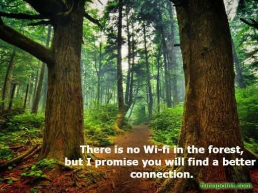 sugitosuwito's profile picture. 