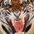 azredbirds052's profile image