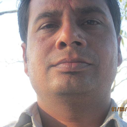 Rabindra Kumar Raman Profile
